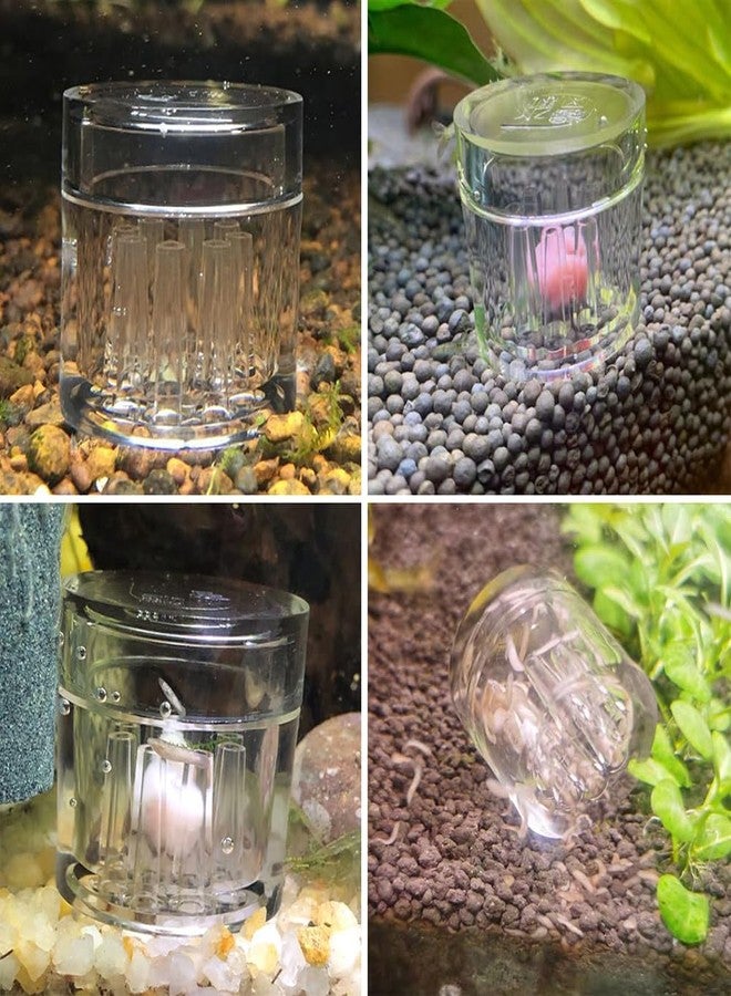 HIERYAN Fish Tank Snail Tool Aquarium Planarian Trap Snail with Acrylic Material Worm Trap with Shrimp Meat 2pcs Planarian Leech Trap - Image 5